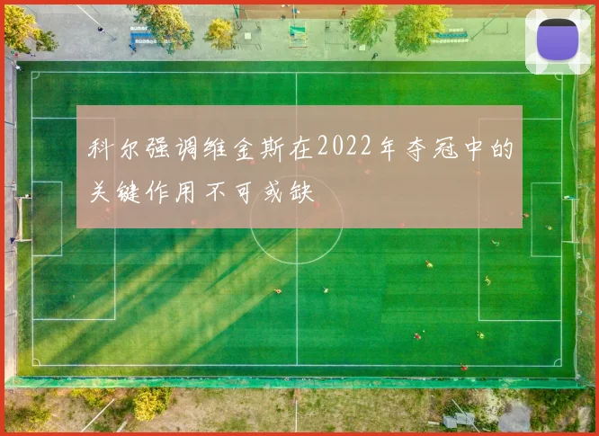 科尔强调维金斯在2022年夺冠中的关键作用不可或缺