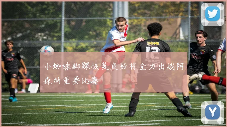 小蜘蛛脚踝恢复良好将全力出战阿森纳重要比赛